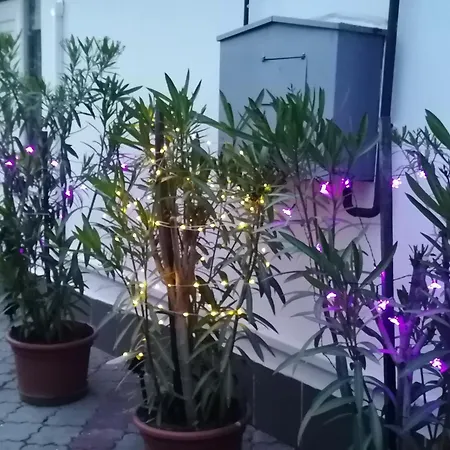 Kertesz Vendeghaz Eğri