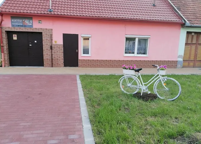 Maison d'hôtes Kertész *