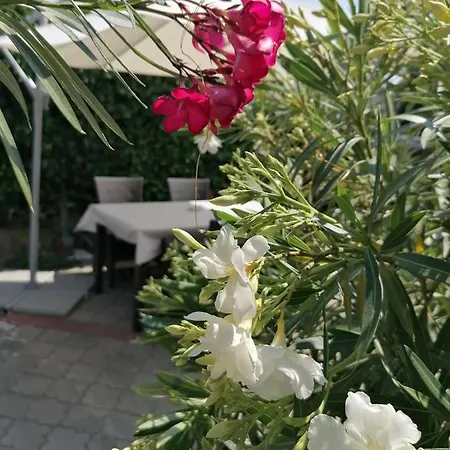 Kertesz Vendeghaz Guest house Eger