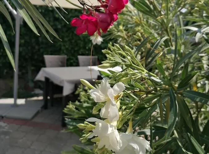 Kertesz Vendeghaz Guest house Eger